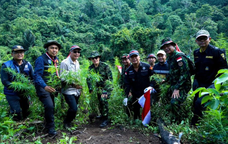 148 personel Tim Gabungan, yang terdiri dari BNN, POLRI, TNI, Kejaksaan Agung, Bea dan Cukai, Satpol PP, Dinas Pertanian, Dinas Kehutanan, serta Lembaga Swadaya Masyarakat (LSM) Granat, di Aceh Besar. Dok: Istimewa