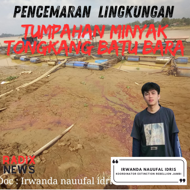 Tumpahan Minyak dari Tongkang Batu Bara, yang Berserakan di Pinggiran Sungai Batanghari, di Desa Sarang Burung, Kec.Jaluko, Kab.Muaro Jambi. Dok:Irwanda Nauufal Idris