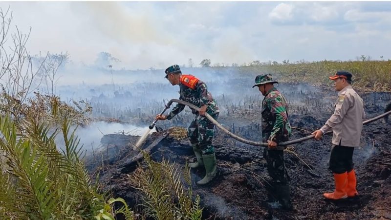 Dok: Istimewa