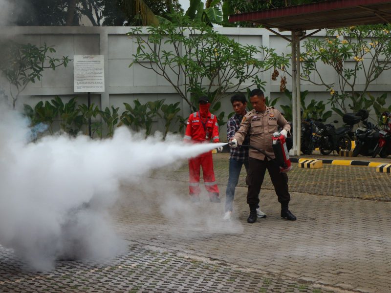 Dok: Istimewa