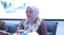 Dok: Istimewa