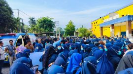Dok: Istimewa