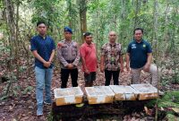 Dok: Istimewa