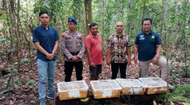 Dok: Istimewa