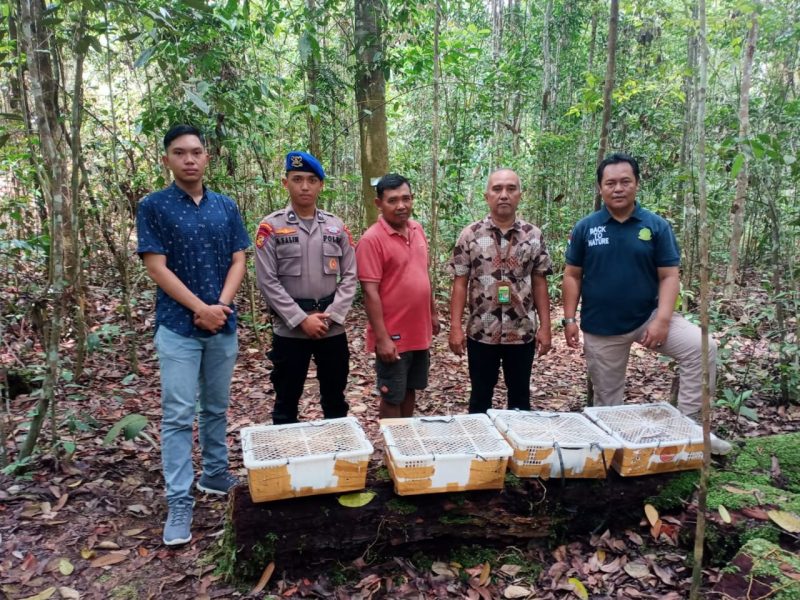 Dok: Istimewa
