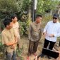 Dok: Istimewa