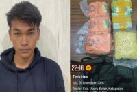Dok: Istimewa