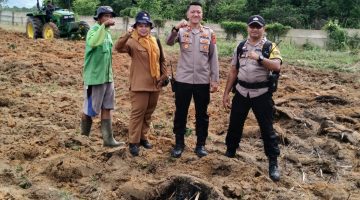 Dok: Istimewa
