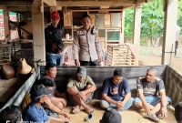 Dok: Istimewa