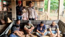 Dok: Istimewa