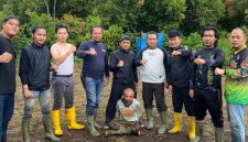 Dok: Istimewa