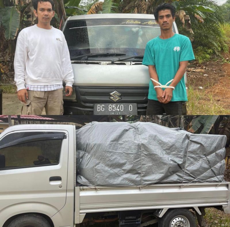 Dok: Istimewa