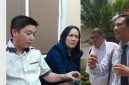 Dok: Istimewa